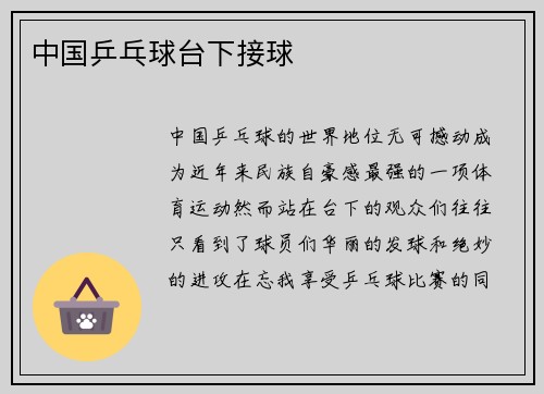 中国乒乓球台下接球