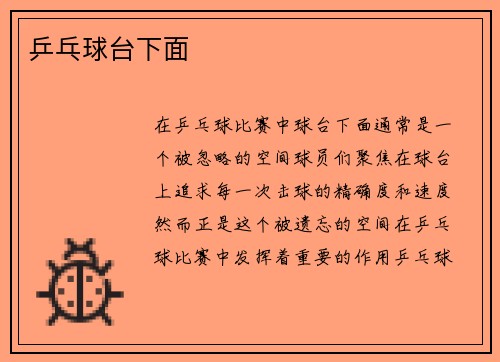 乒乓球台下面