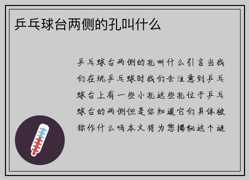 乒乓球台两侧的孔叫什么