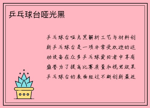 乒乓球台哑光黑